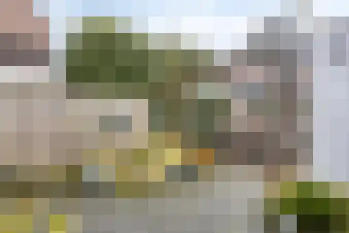 de Gildekamp 1026 Nijmegen thumbnail 30