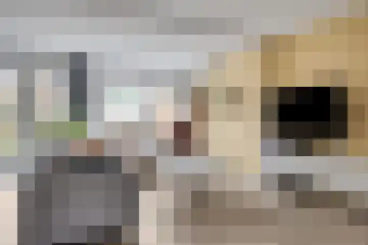 de Gildekamp 1026 Nijmegen thumbnail 4