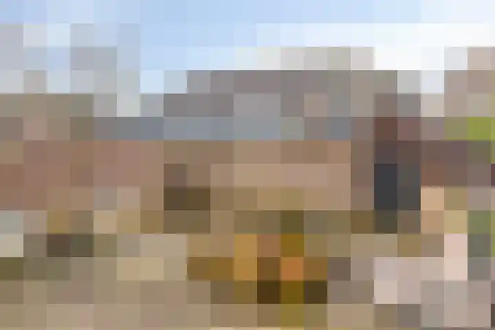 de Gildekamp 1103 Nijmegen thumbnail 6
