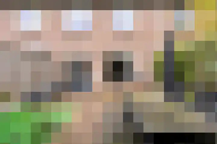 de Gildekamp 1104 Nijmegen thumbnail 42