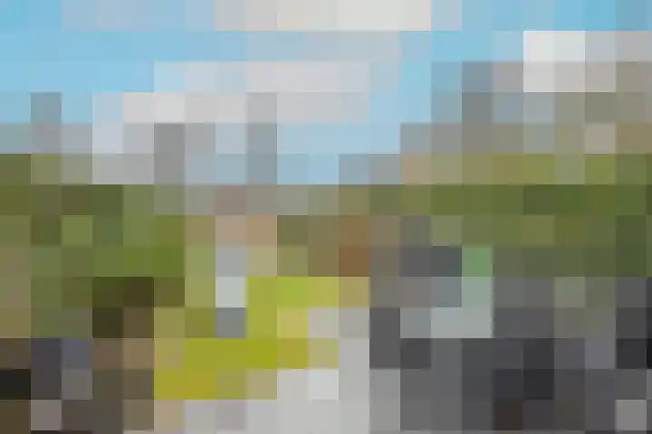 de Gildekamp 1133 Nijmegen thumbnail 29