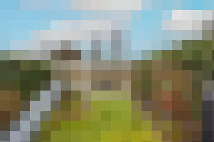 de Gildekamp 1133 Nijmegen thumbnail 30