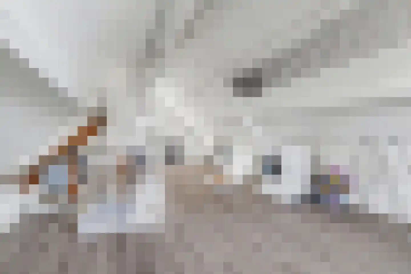 de Gildekamp 2124 Nijmegen thumbnail 33