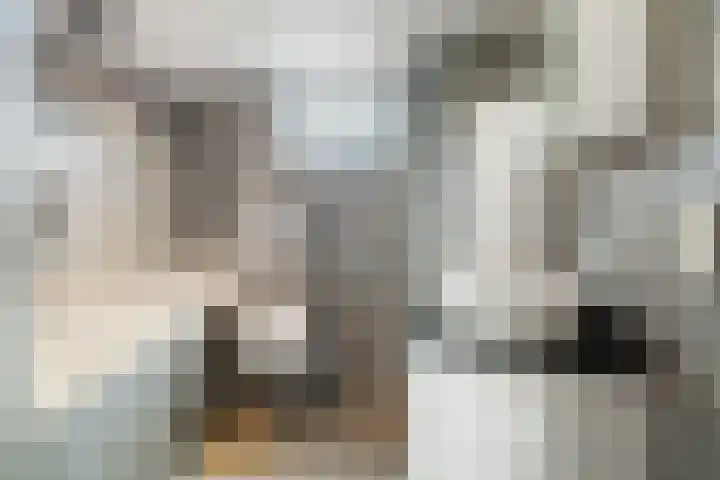 de Gildekamp 2126 Nijmegen thumbnail 19