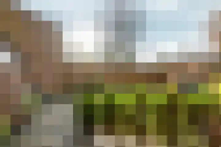 de Gildekamp 2126 Nijmegen thumbnail 27