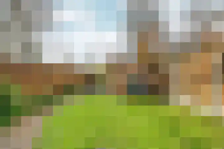 de Gildekamp 2126 Nijmegen thumbnail 28