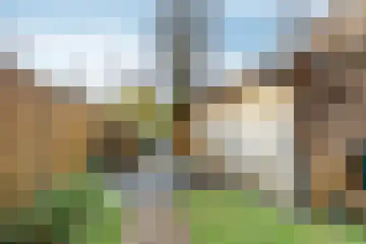 de Gildekamp 2126 Nijmegen thumbnail 29