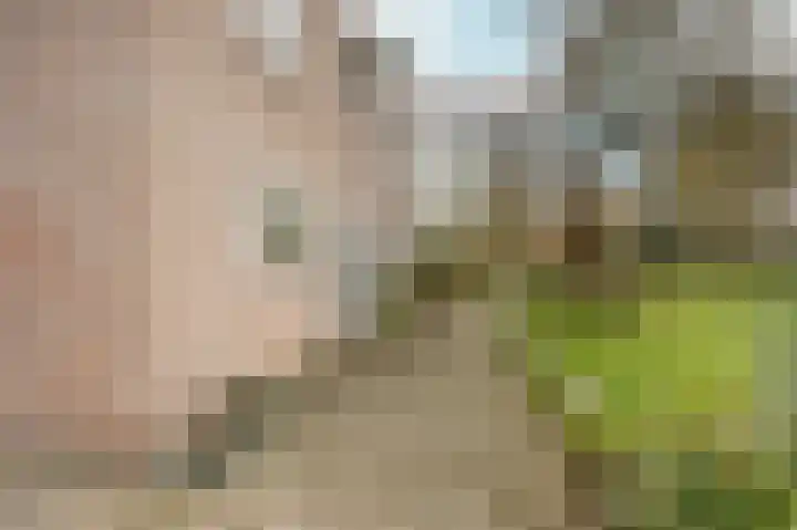de Gildekamp 2126 Nijmegen thumbnail 35