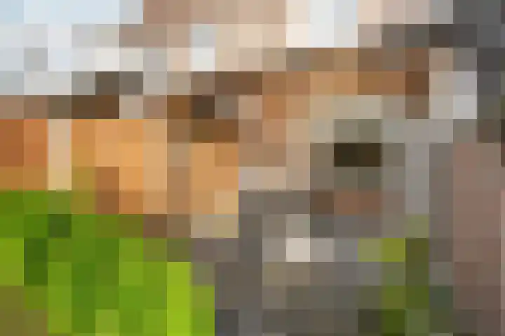 de Gildekamp 2126 Nijmegen thumbnail 4