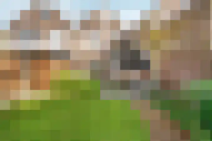 de Gildekamp 2126 Nijmegen thumbnail 5
