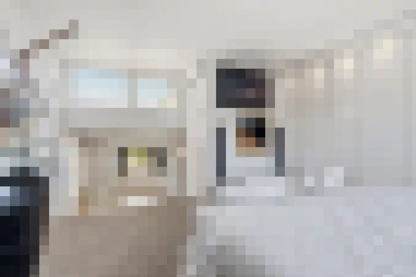 de Gildekamp 2219 Nijmegen thumbnail 29