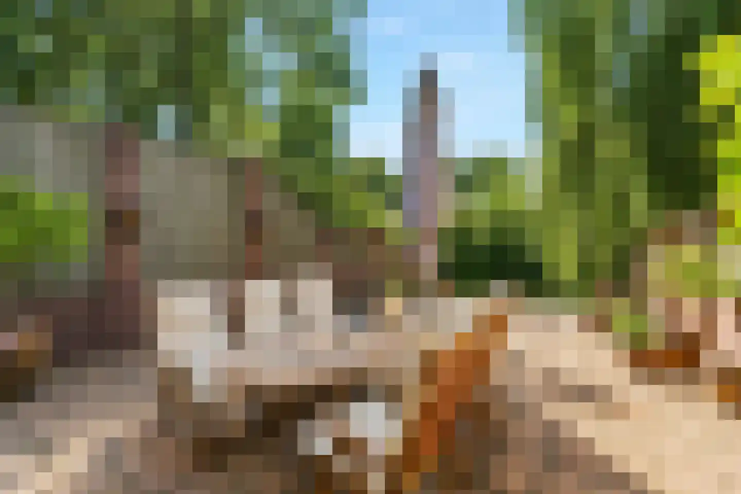 de Gildekamp 2219 Nijmegen thumbnail 42