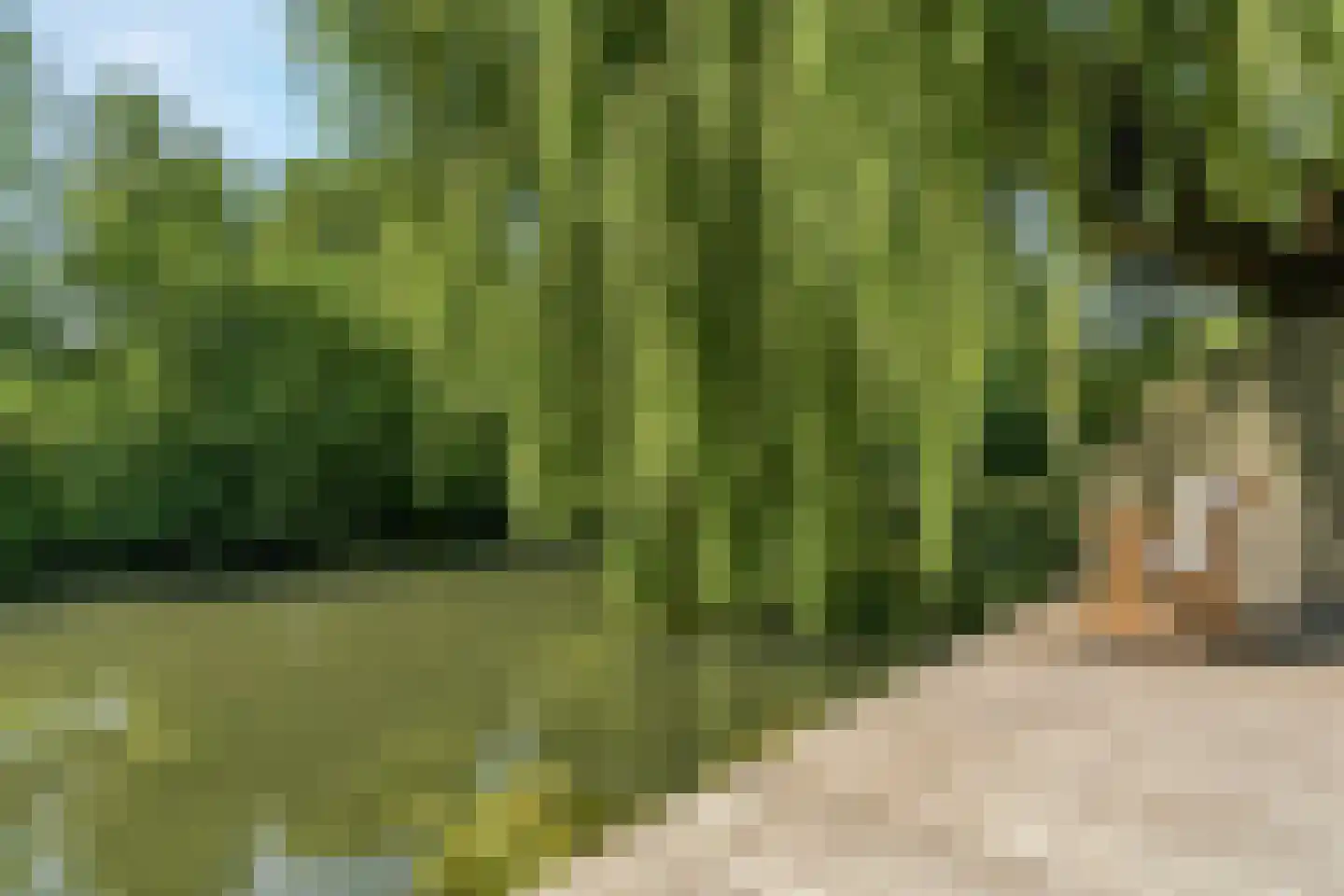 de Gildekamp 2219 Nijmegen thumbnail 47