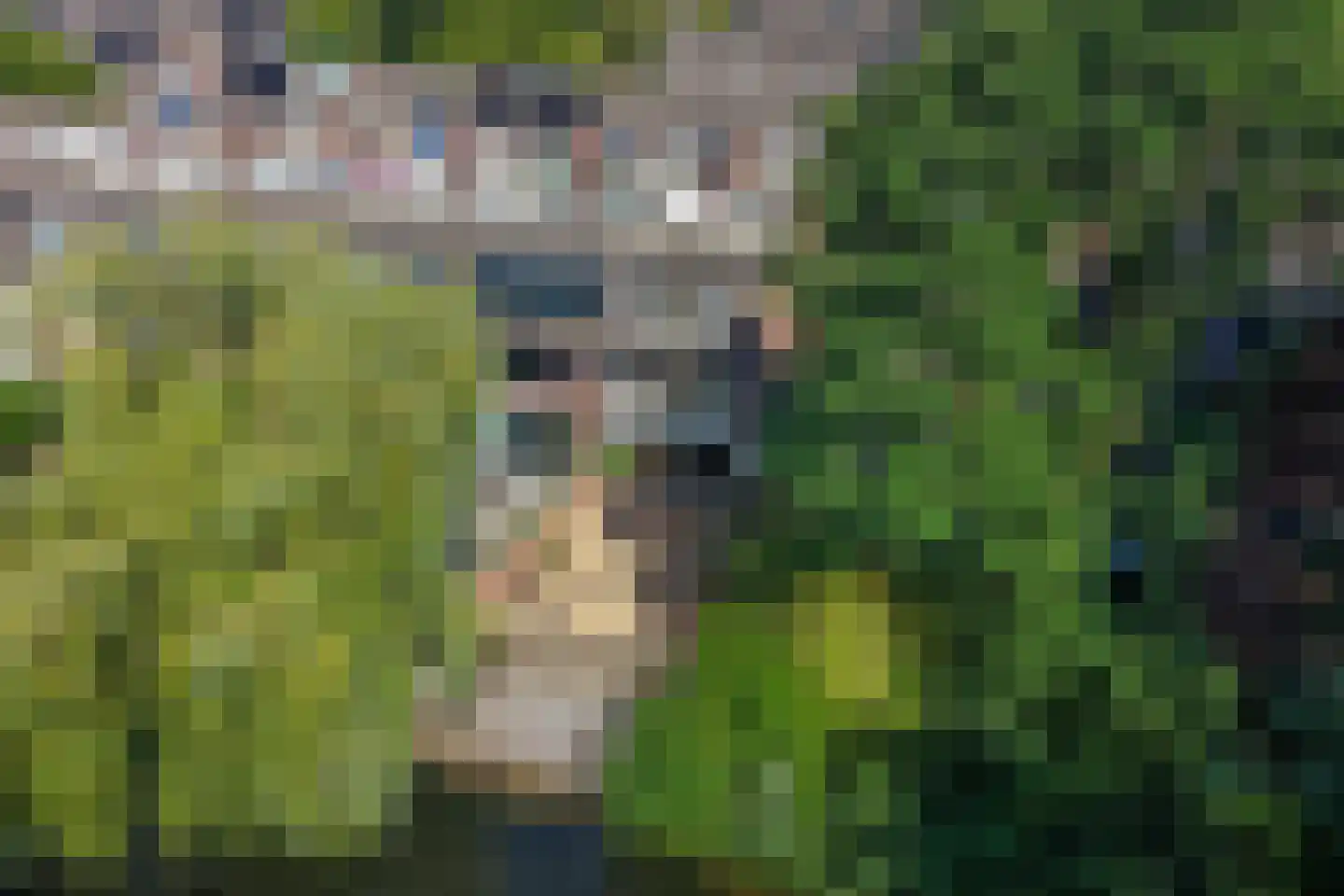 de Gildekamp 2219 Nijmegen thumbnail 55