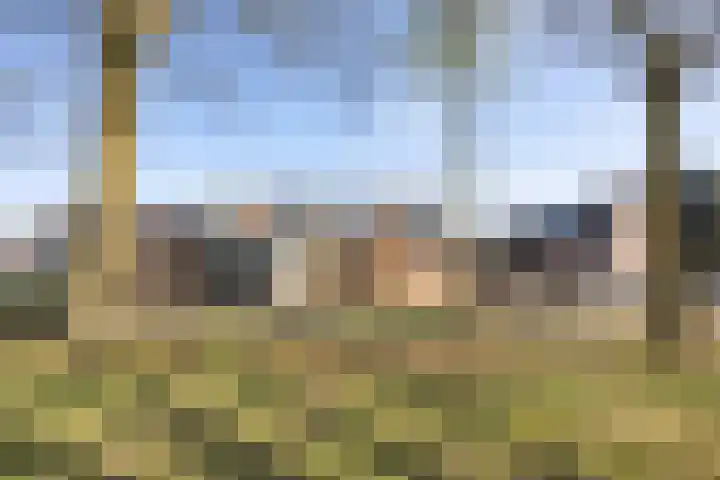 de Gildekamp 2224 Nijmegen thumbnail 38