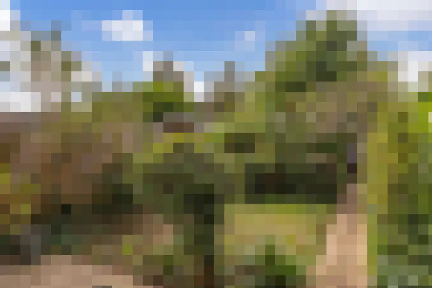 de Gildekamp 3005 Nijmegen thumbnail 17
