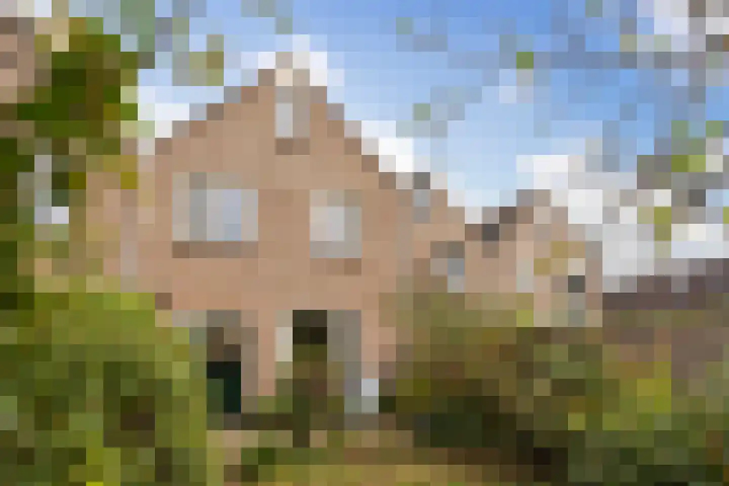 de Gildekamp 3005 Nijmegen thumbnail 19