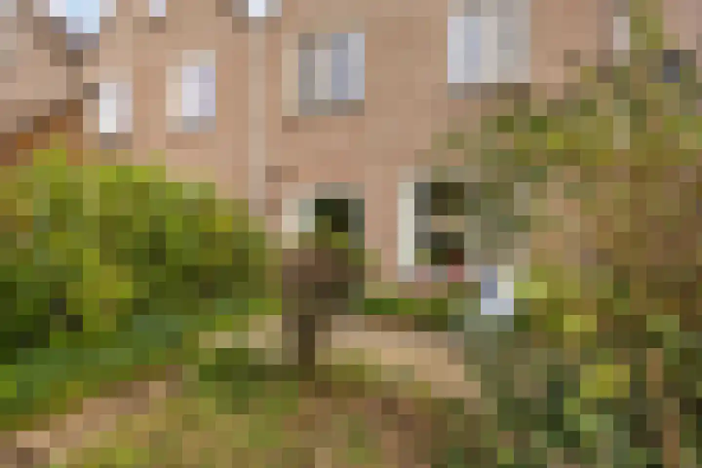 de Gildekamp 3005 Nijmegen thumbnail 20