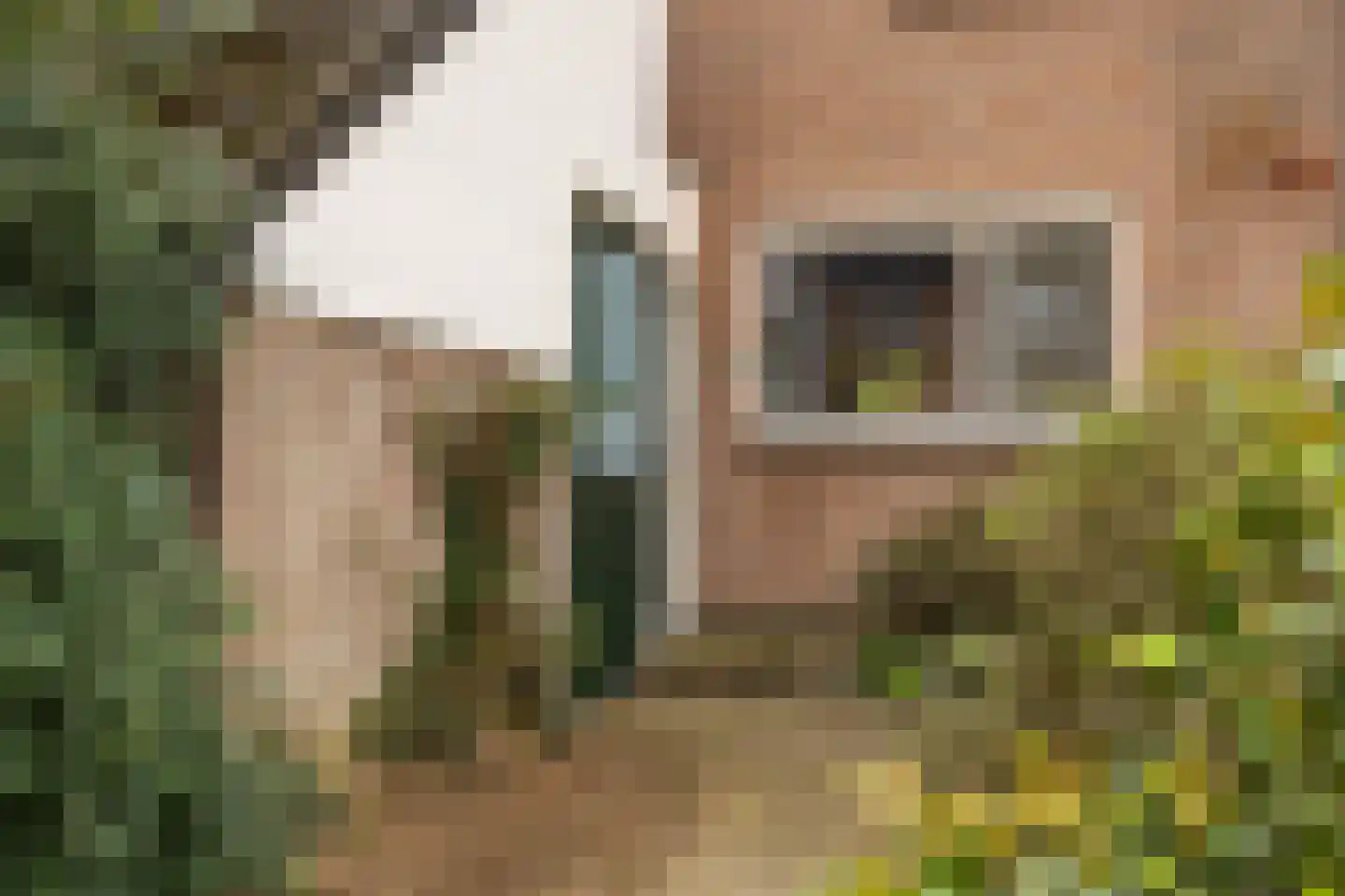 de Gildekamp 3005 Nijmegen thumbnail 5