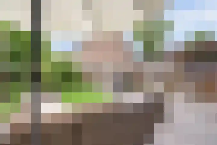 de Gildekamp 3202 Nijmegen thumbnail 38