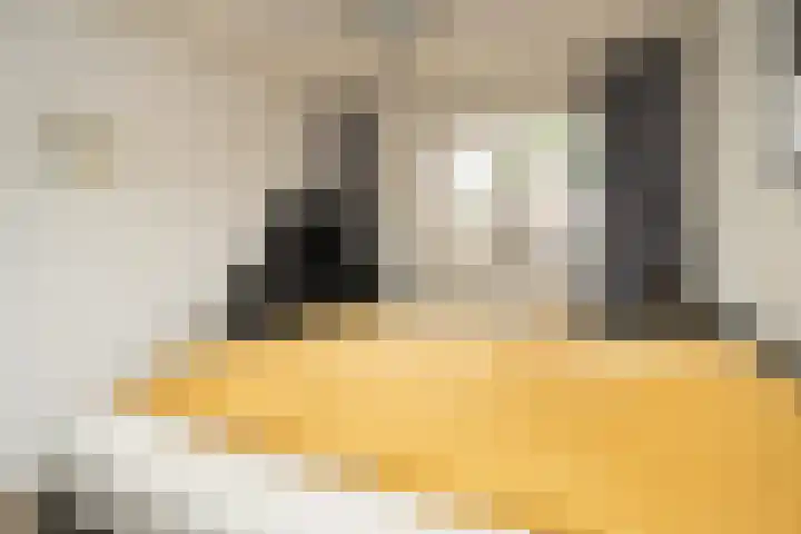 de Gildekamp 3206 Nijmegen thumbnail 21