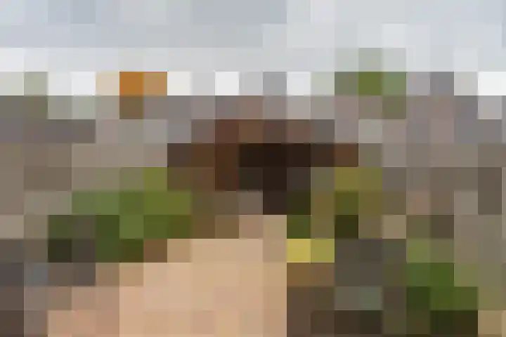 de Gildekamp 3206 Nijmegen thumbnail 35