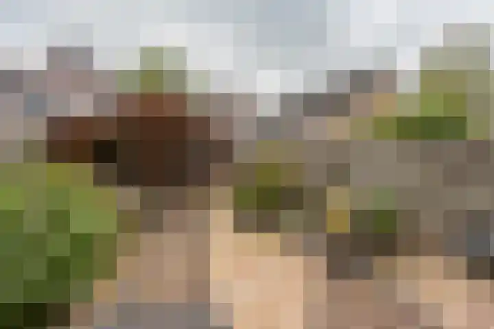 de Gildekamp 3206 Nijmegen thumbnail 36