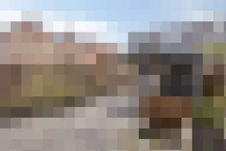 de Gildekamp 3303 Nijmegen thumbnail 32