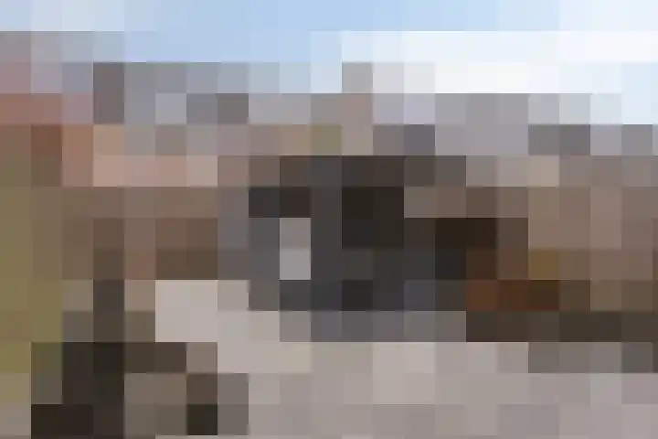 de Gildekamp 3303 Nijmegen thumbnail 33