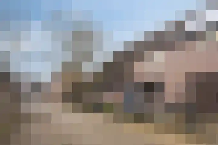 de Gildekamp 3303 Nijmegen thumbnail 4