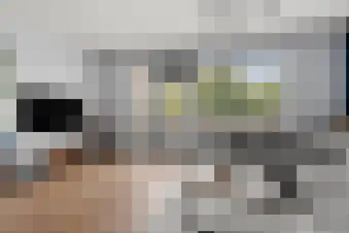 de Gildekamp 4006 Nijmegen thumbnail 12