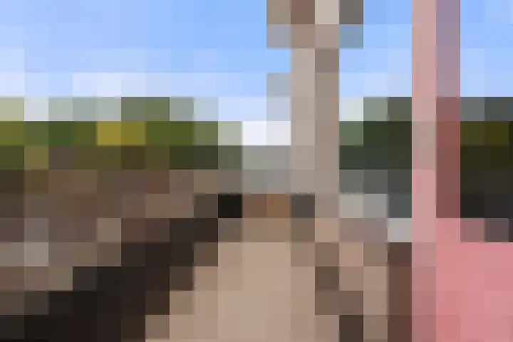 de Gildekamp 4006 Nijmegen thumbnail 14