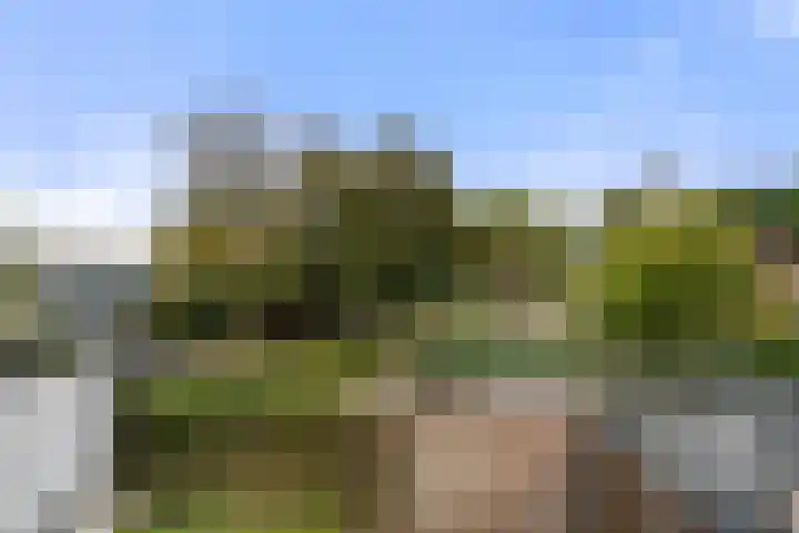 de Gildekamp 4006 Nijmegen thumbnail 15