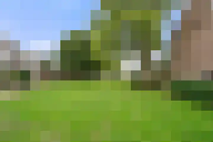 de Gildekamp 4006 Nijmegen thumbnail 4