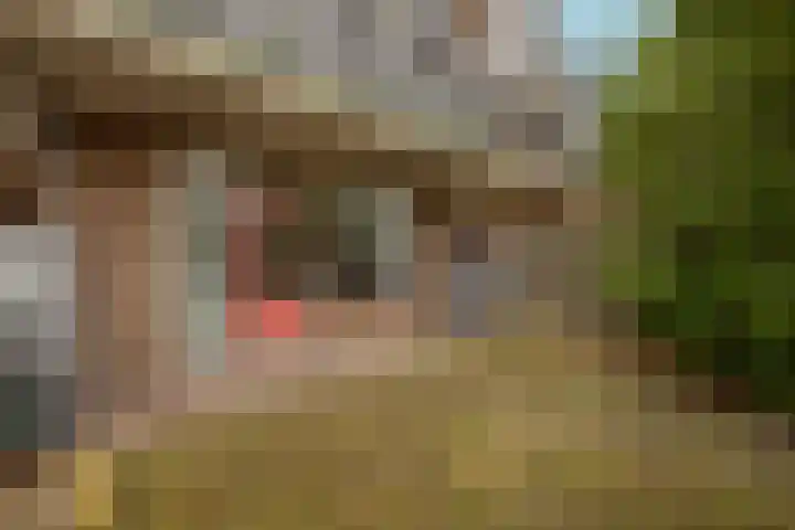 de Gildekamp 4018 Nijmegen thumbnail 20