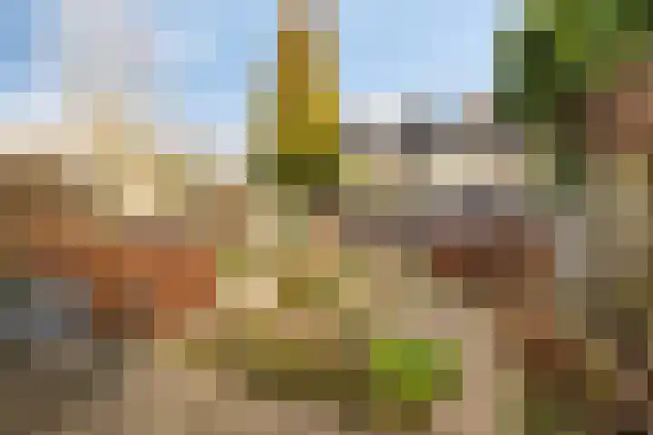 de Gildekamp 4109 Nijmegen thumbnail 24