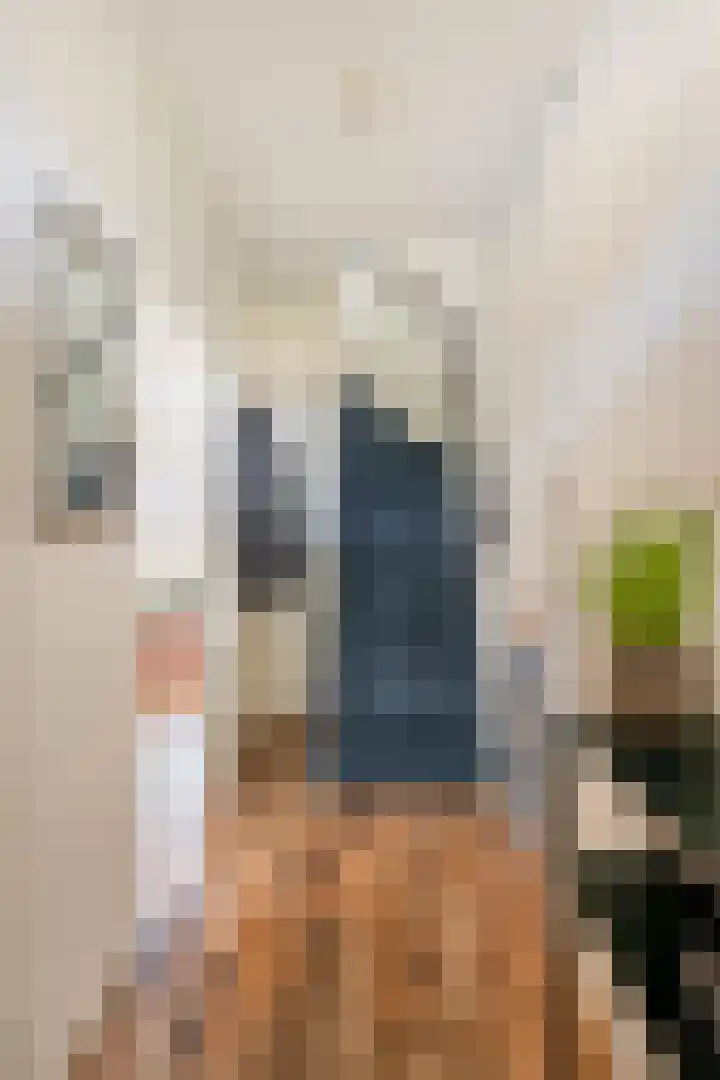 de Gildekamp 4123 Nijmegen thumbnail 15