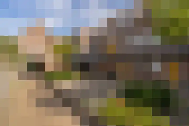 de Gildekamp 4123 Nijmegen thumbnail 28