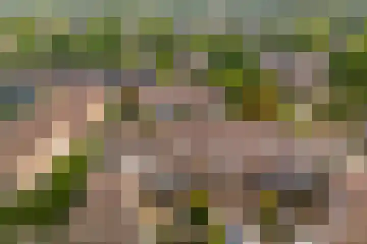 de Gildekamp 4123 Nijmegen thumbnail 30