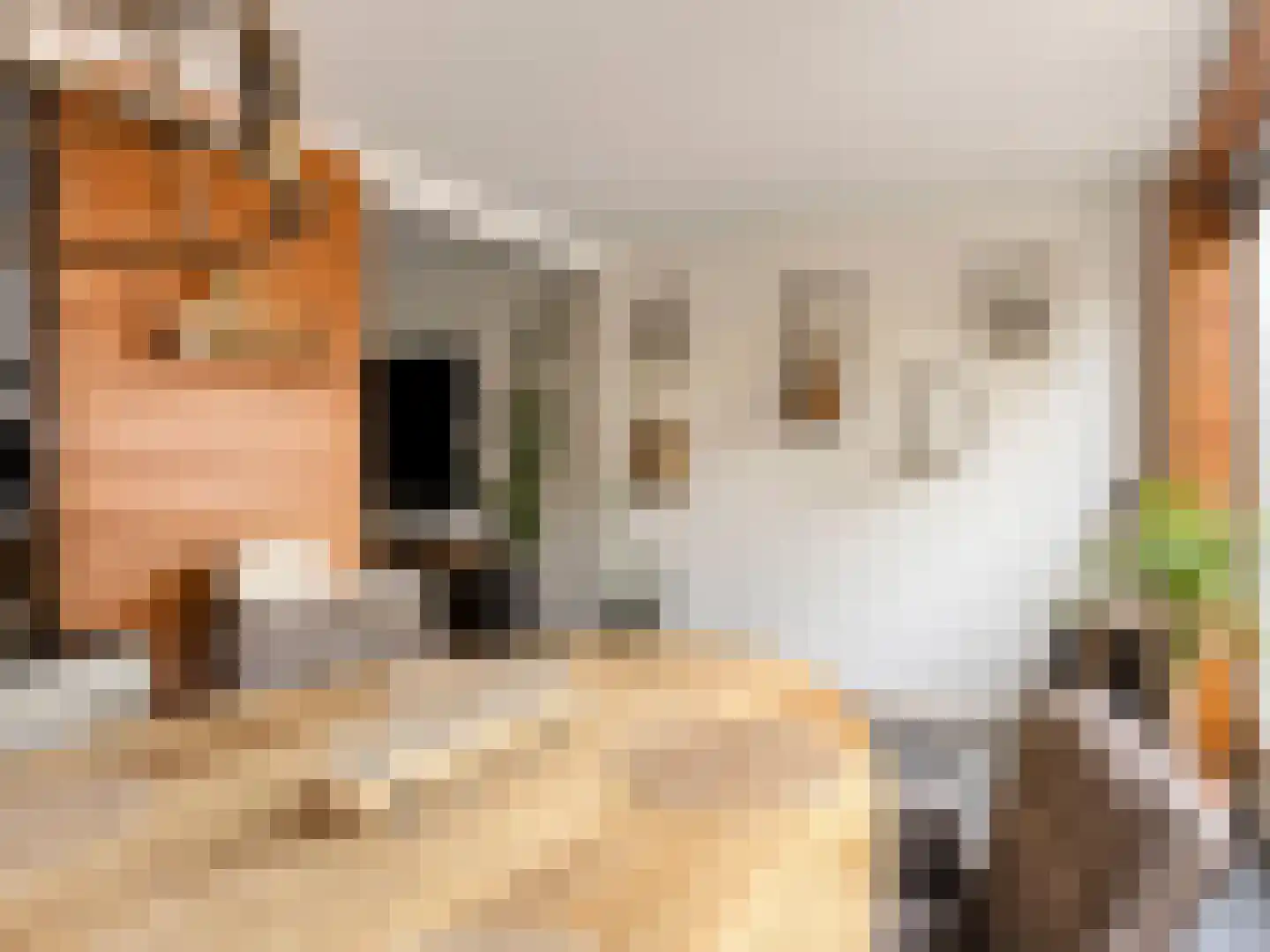 de Gildekamp 5049 Nijmegen thumbnail 8