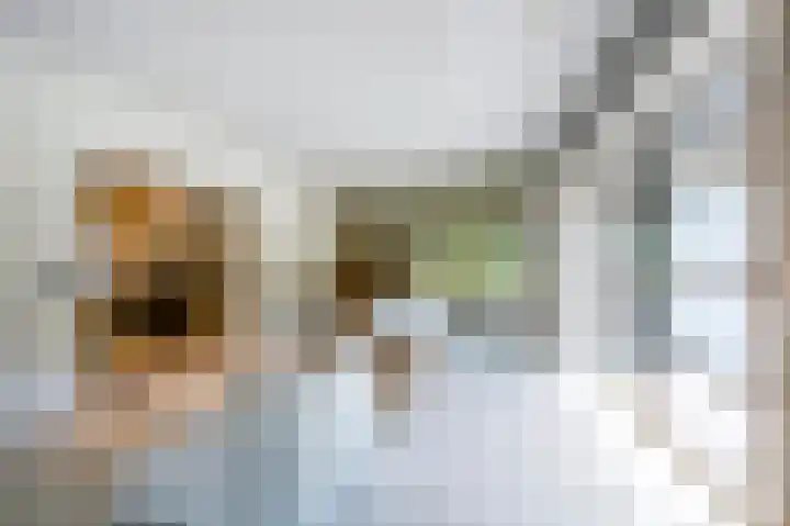 De Ginckellaan 10 Huizen thumbnail 11