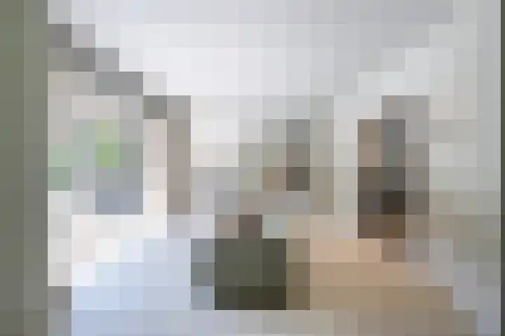 De Ginckellaan 10 Huizen thumbnail 21