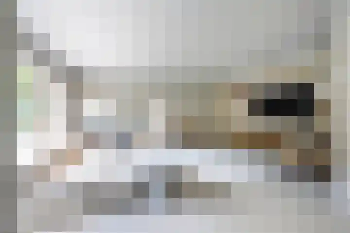 De Ginckellaan 10 Huizen thumbnail 22