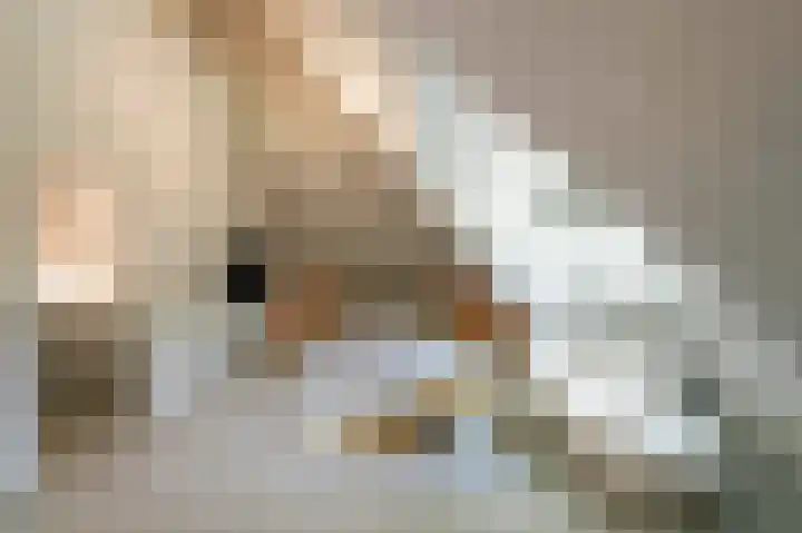 De Ginckellaan 10 Huizen thumbnail 36
