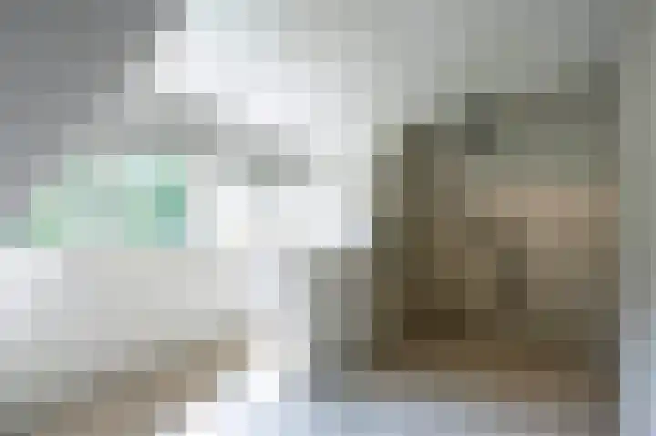 De Ginckellaan 10 Huizen thumbnail 42