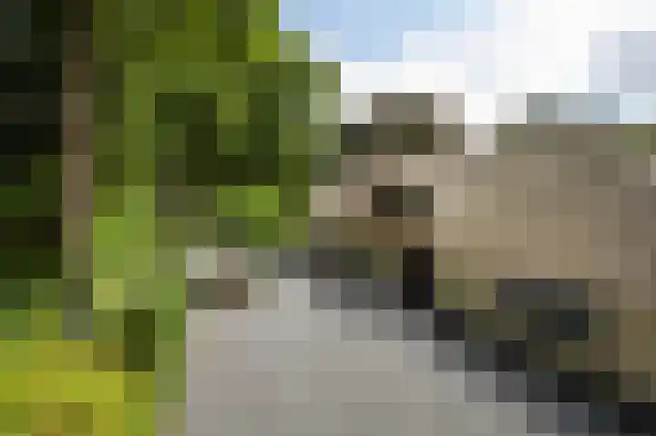 De Ginckellaan 10 Huizen thumbnail 5
