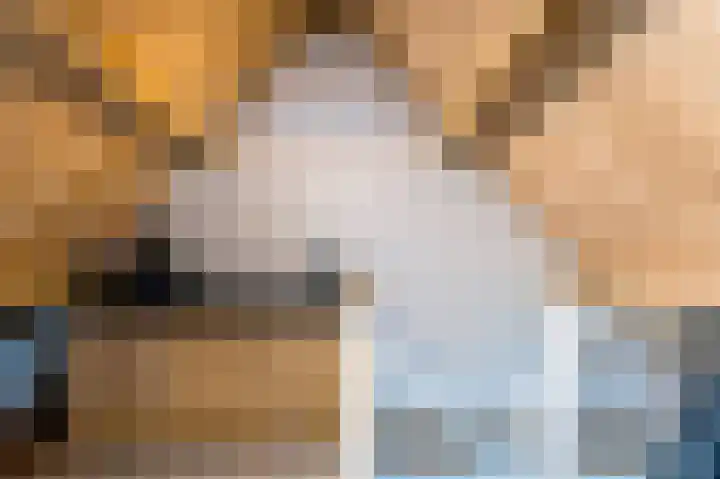 De Ginckellaan 10 Huizen thumbnail 60