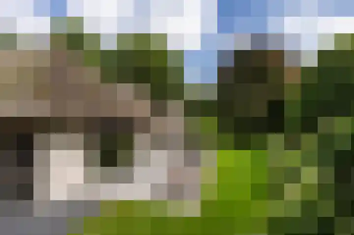 De Ginckellaan 10 Huizen thumbnail 65