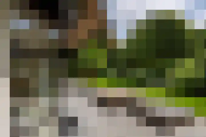 De Ginckellaan 10 Huizen thumbnail 66