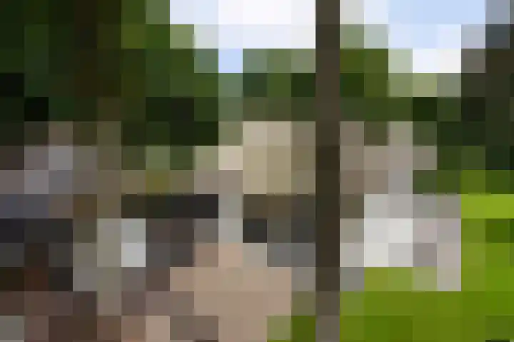 De Ginckellaan 10 Huizen thumbnail 68